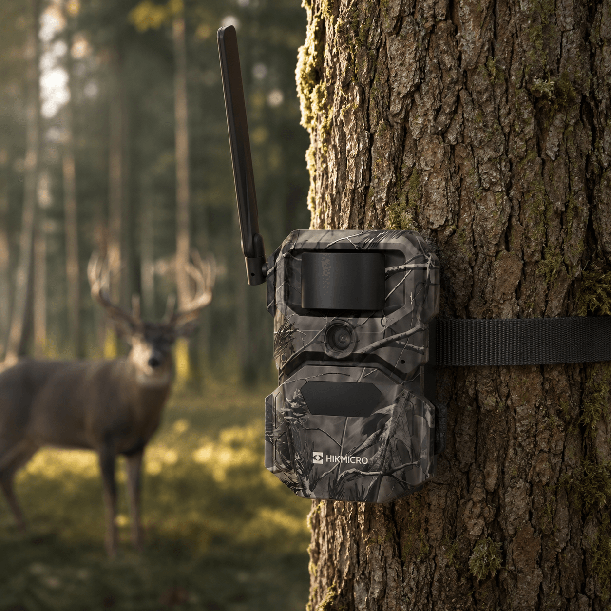 HIKMICRO T16 4G Cellular Trail Camera - 24MP Wildlife, Deer Management & Security